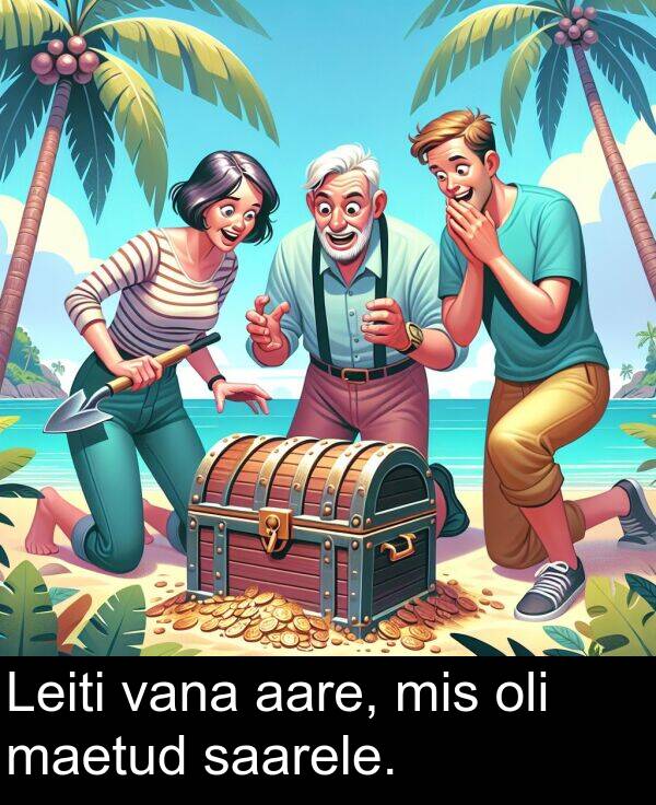 mis: Leiti vana aare, mis oli maetud saarele.