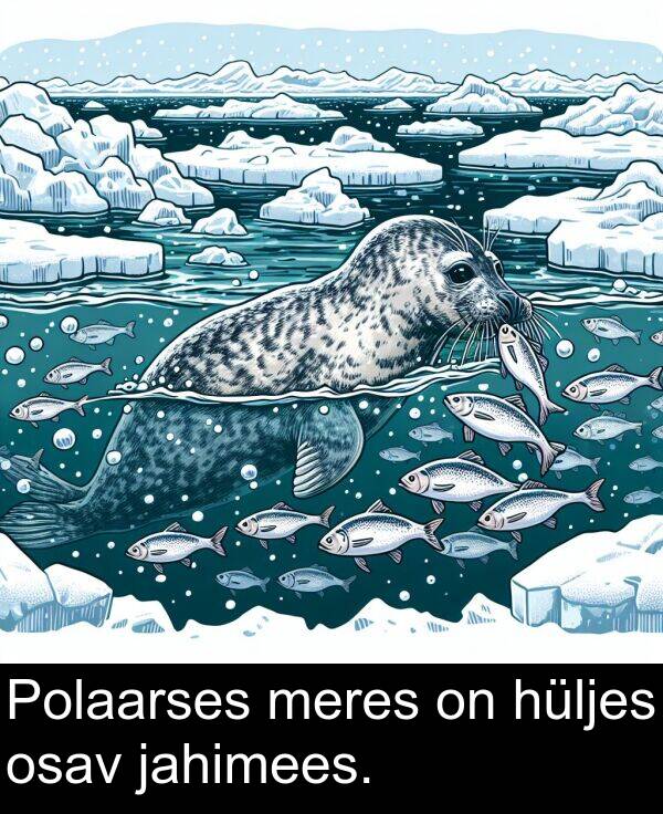 hüljes: Polaarses meres on hüljes osav jahimees.
