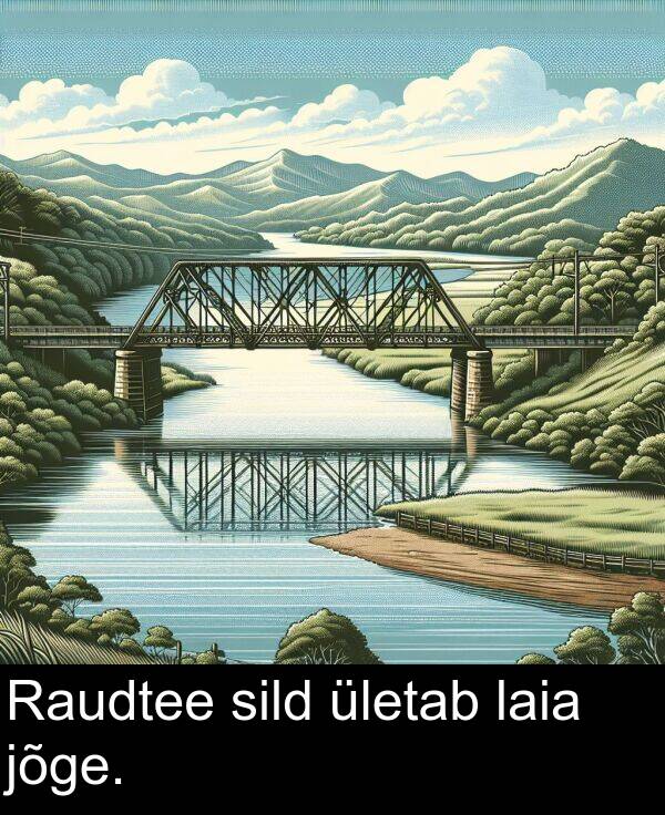 jõge: Raudtee sild ületab laia jõge.