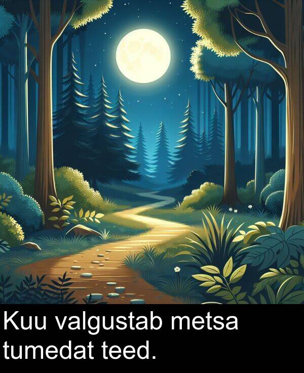 tumedat: Kuu valgustab metsa tumedat teed.