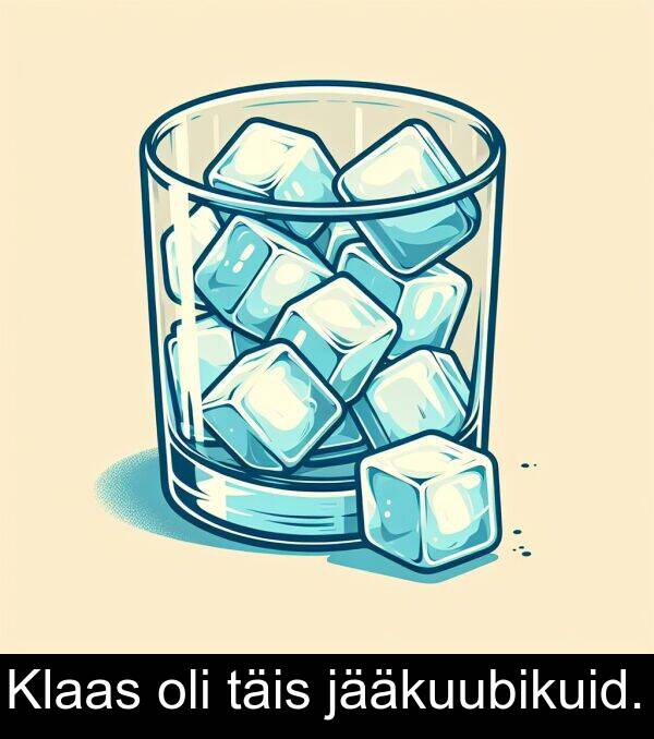 täis: Klaas oli täis jääkuubikuid.