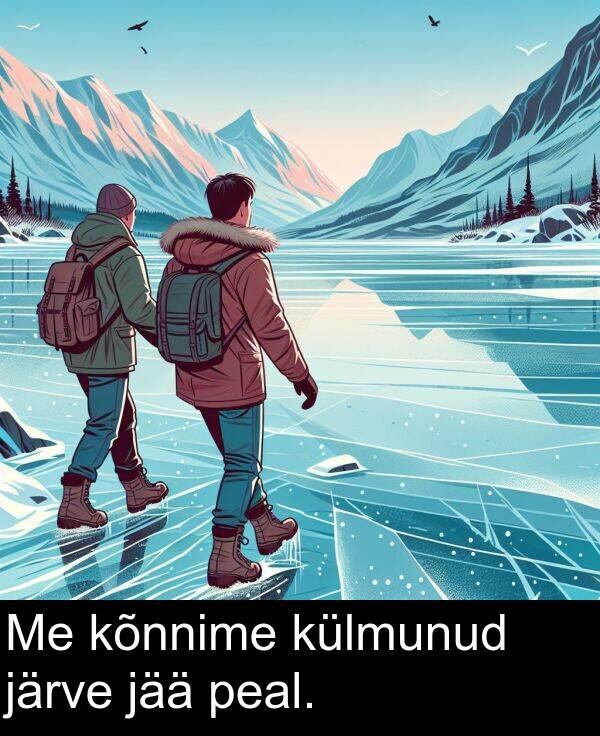 kõnnime: Me kõnnime külmunud järve jää peal.