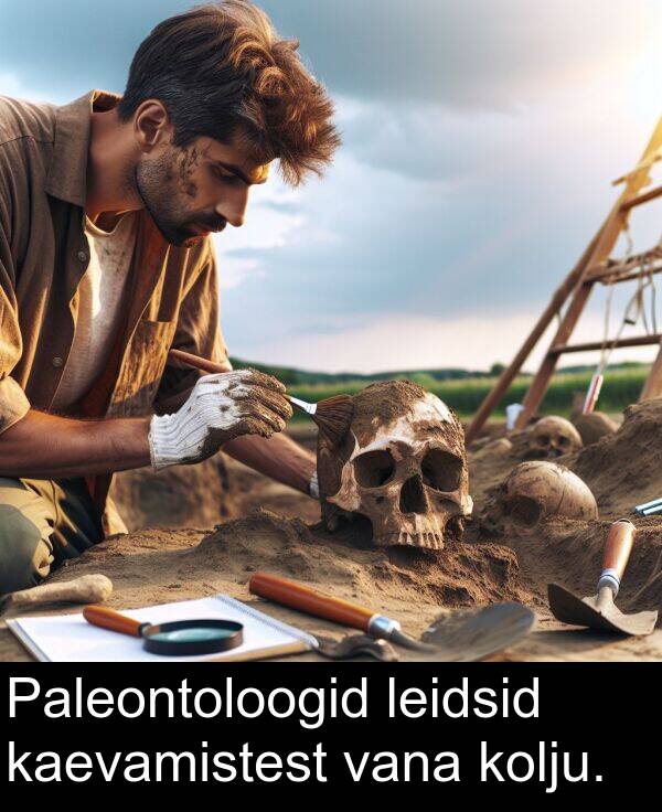kaevamistest: Paleontoloogid leidsid kaevamistest vana kolju.