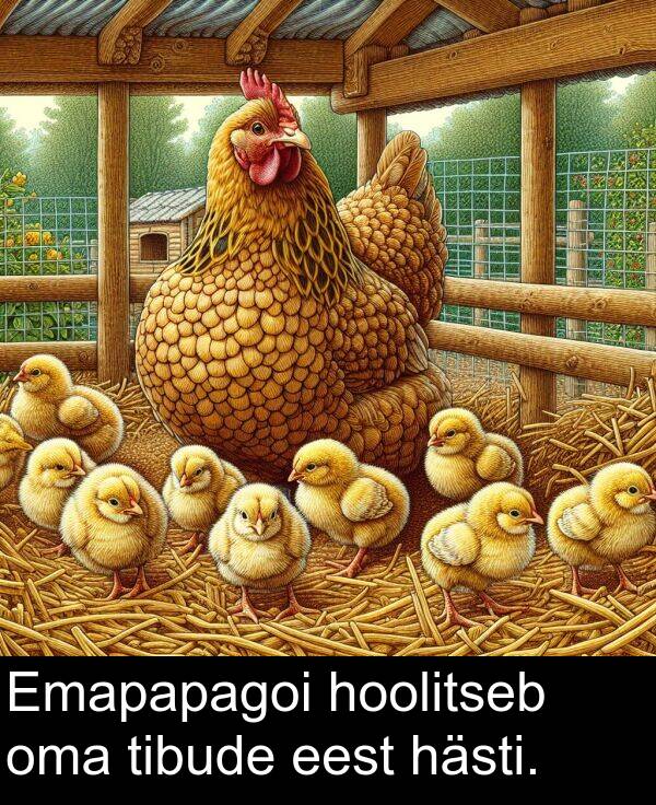 hoolitseb: Emapapagoi hoolitseb oma tibude eest hästi.
