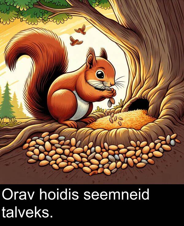 hoidis: Orav hoidis seemneid talveks.