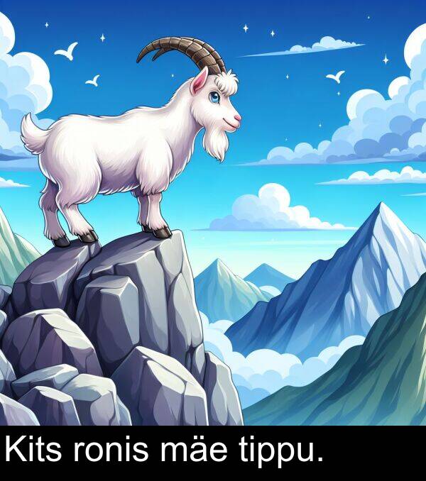 tippu: Kits ronis mäe tippu.