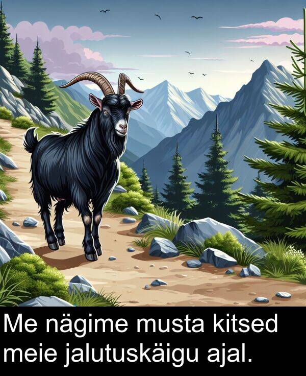 kitsed: Me nägime musta kitsed meie jalutuskäigu ajal.