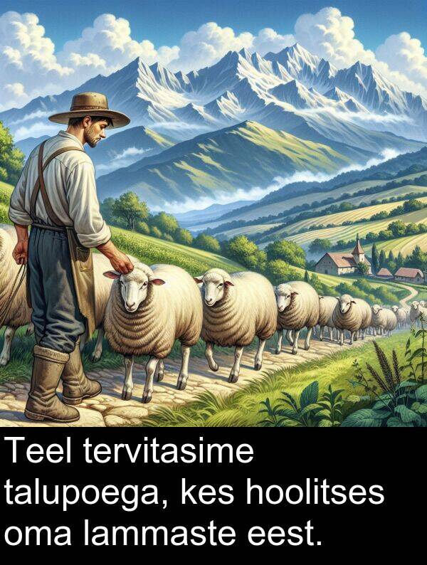 hoolitses: Teel tervitasime talupoega, kes hoolitses oma lammaste eest.