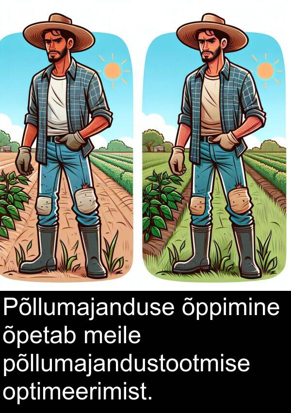 optimeerimist: Põllumajanduse õppimine õpetab meile põllumajandustootmise optimeerimist.