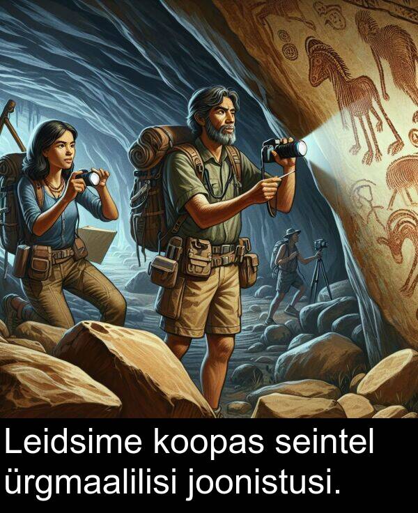 seintel: Leidsime koopas seintel ürgmaalilisi joonistusi.