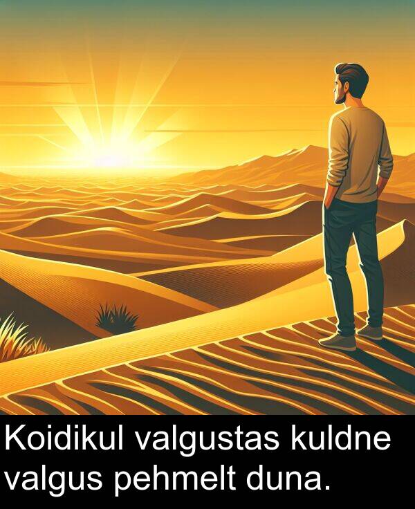 duna: Koidikul valgustas kuldne valgus pehmelt duna.