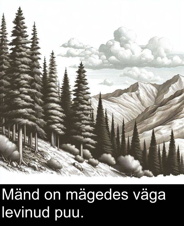 väga: Mänd on mägedes väga levinud puu.