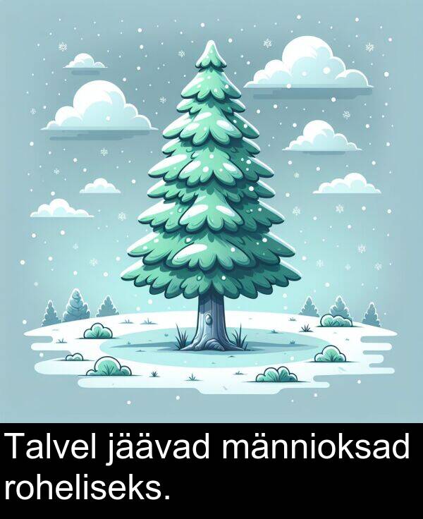 männioksad: Talvel jäävad männioksad roheliseks.