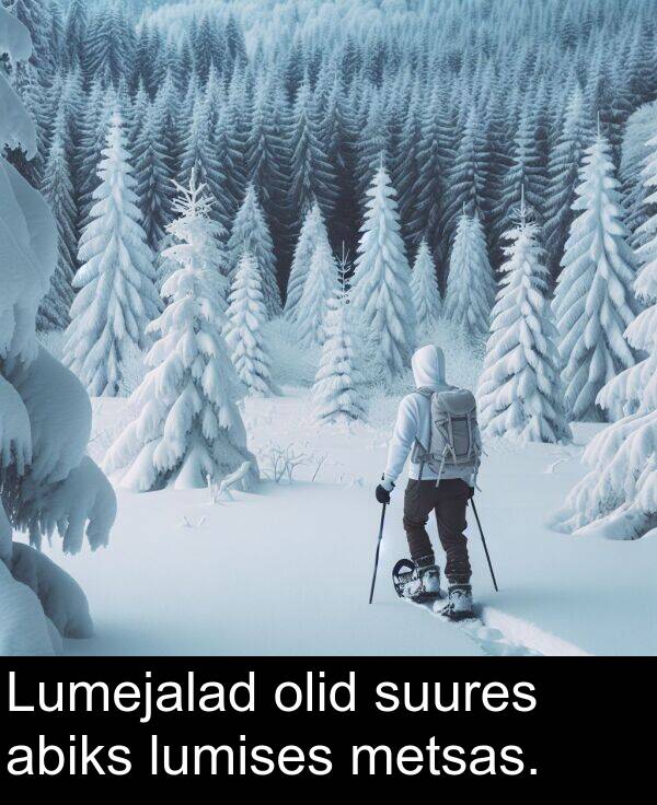 suures: Lumejalad olid suures abiks lumises metsas.