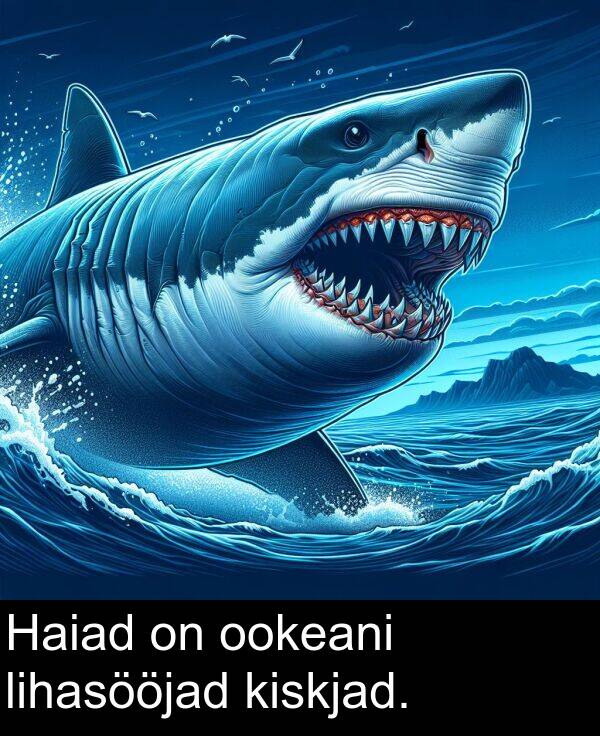 ookeani: Haiad on ookeani lihasööjad kiskjad.
