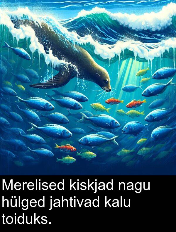 jahtivad: Merelised kiskjad nagu hülged jahtivad kalu toiduks.