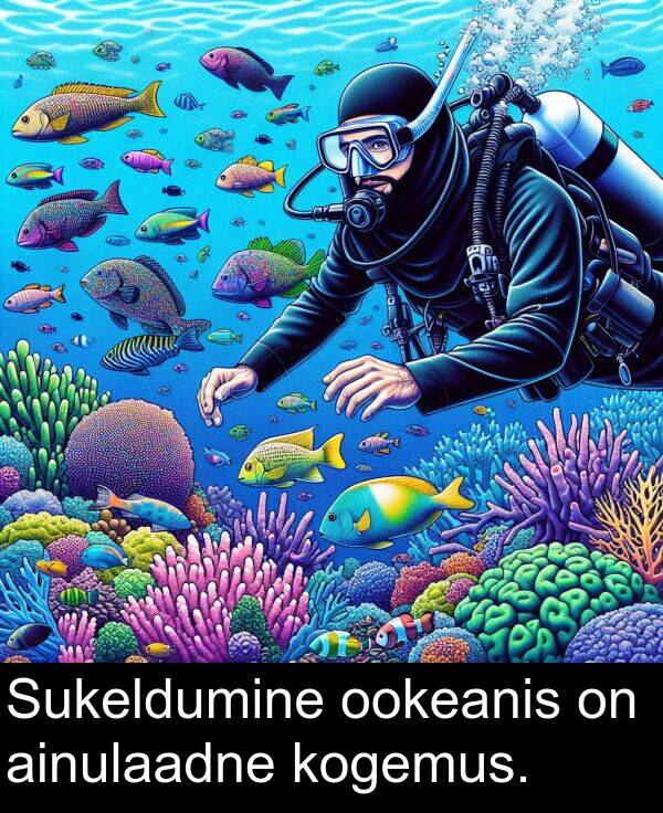 kogemus: Sukeldumine ookeanis on ainulaadne kogemus.