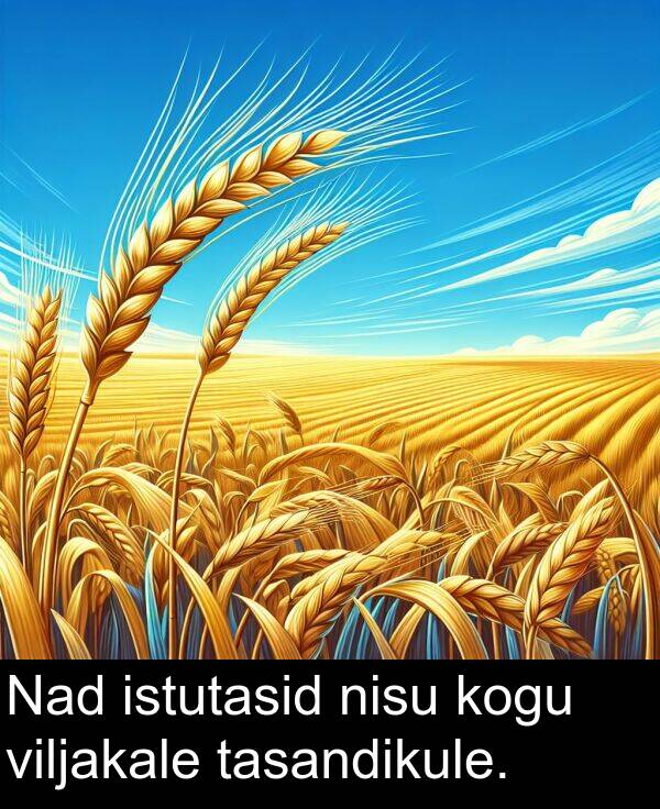 viljakale: Nad istutasid nisu kogu viljakale tasandikule.