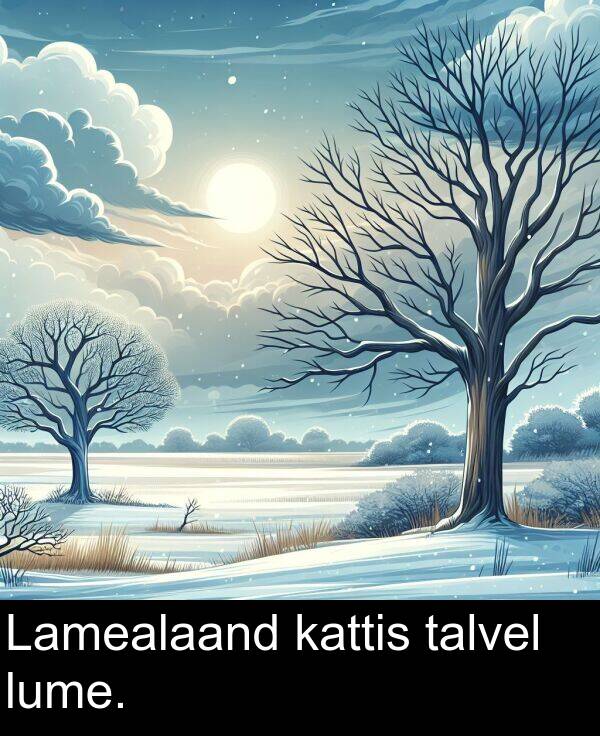 lume: Lamealaand kattis talvel lume.