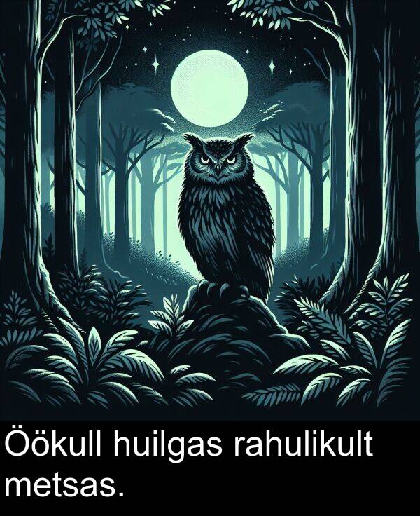 metsas: Öökull huilgas rahulikult metsas.