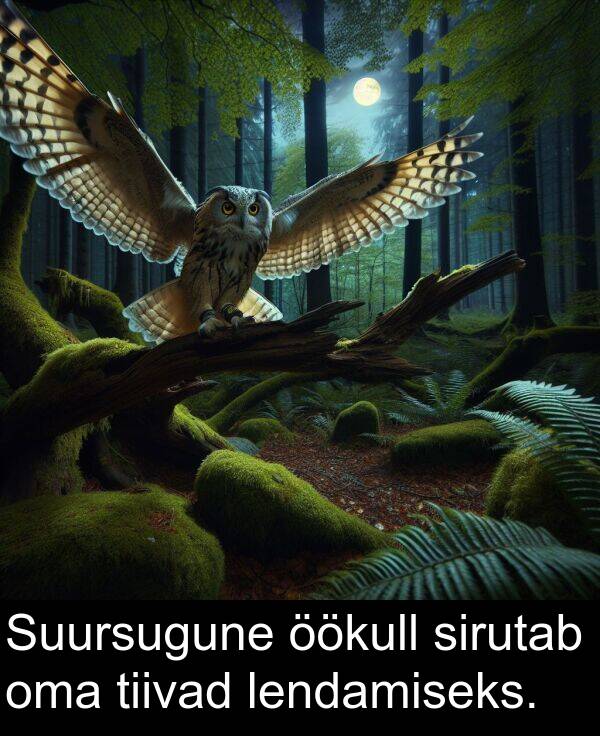 sirutab: Suursugune öökull sirutab oma tiivad lendamiseks.