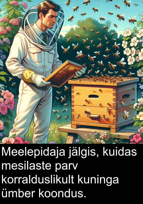 jälgis: Meelepidaja jälgis, kuidas mesilaste parv korralduslikult kuninga ümber koondus.