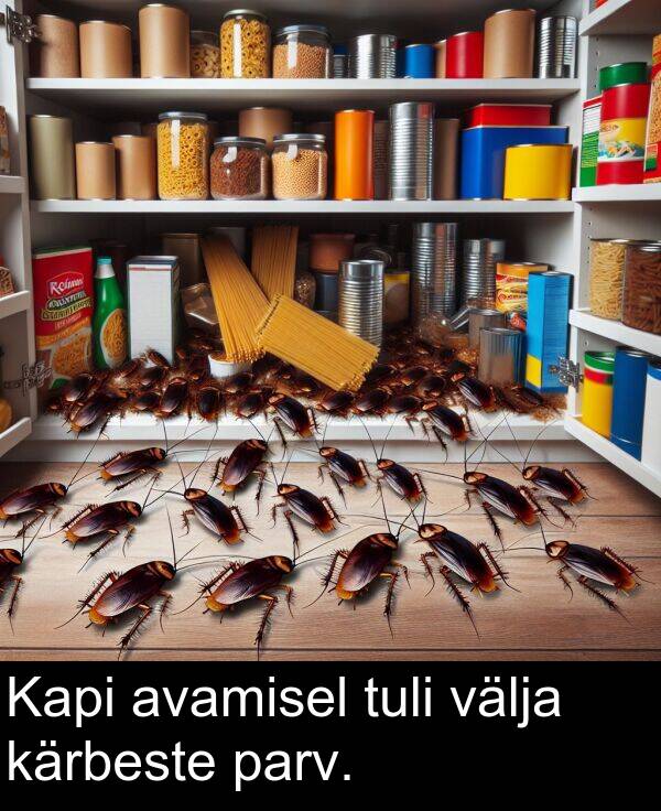 välja: Kapi avamisel tuli välja kärbeste parv.