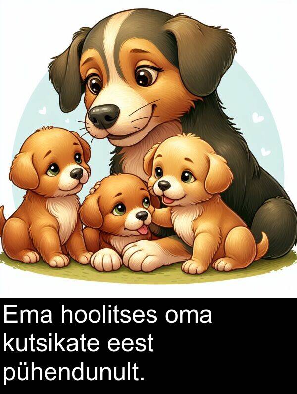 kutsikate: Ema hoolitses oma kutsikate eest pühendunult.