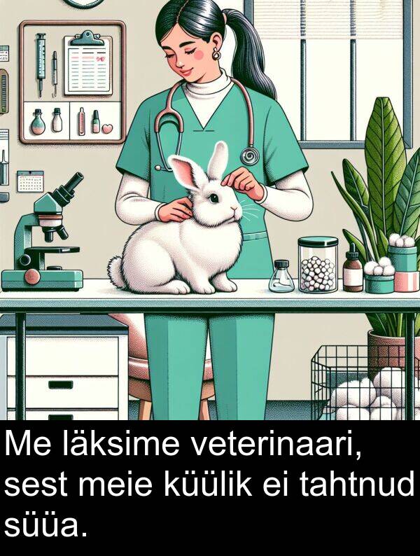 läksime: Me läksime veterinaari, sest meie küülik ei tahtnud süüa.
