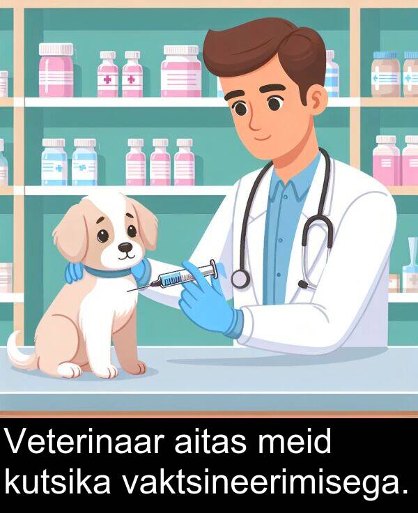 kutsika: Veterinaar aitas meid kutsika vaktsineerimisega.