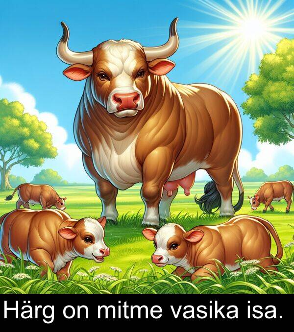 mitme: Härg on mitme vasika isa.