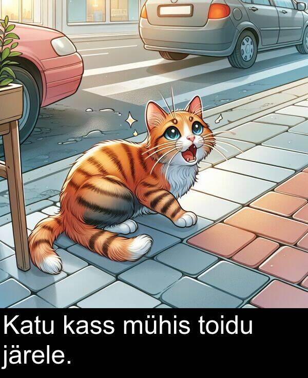 mühis: Katu kass mühis toidu järele.