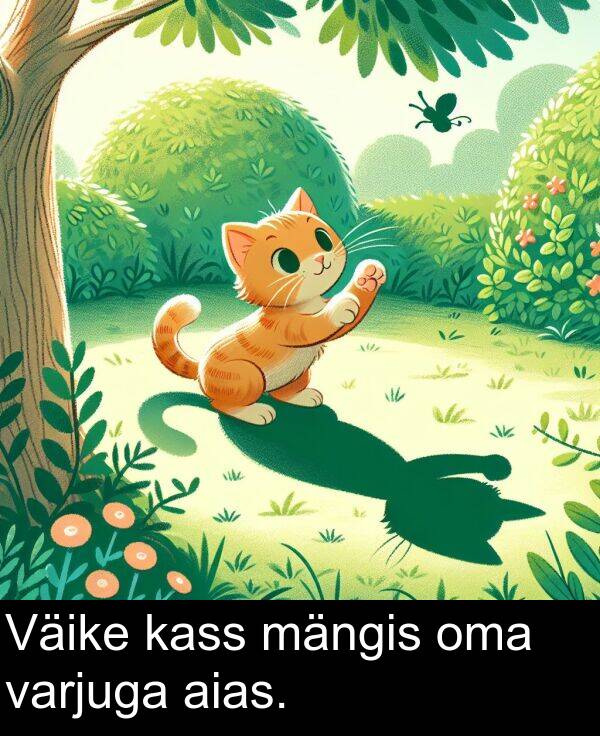 mängis: Väike kass mängis oma varjuga aias.
