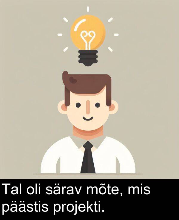 särav: Tal oli särav mõte, mis päästis projekti.