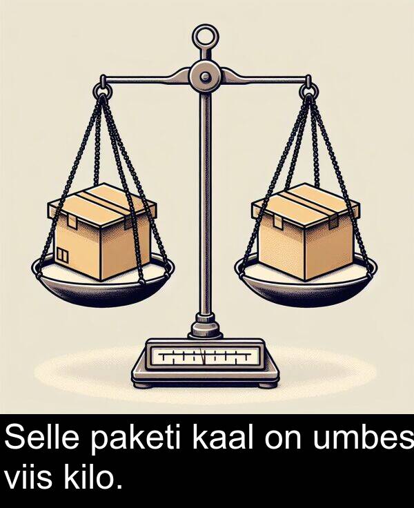 paketi: Selle paketi kaal on umbes viis kilo.