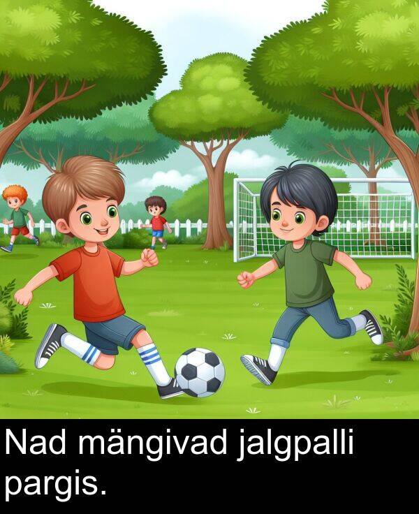 mängivad: Nad mängivad jalgpalli pargis.