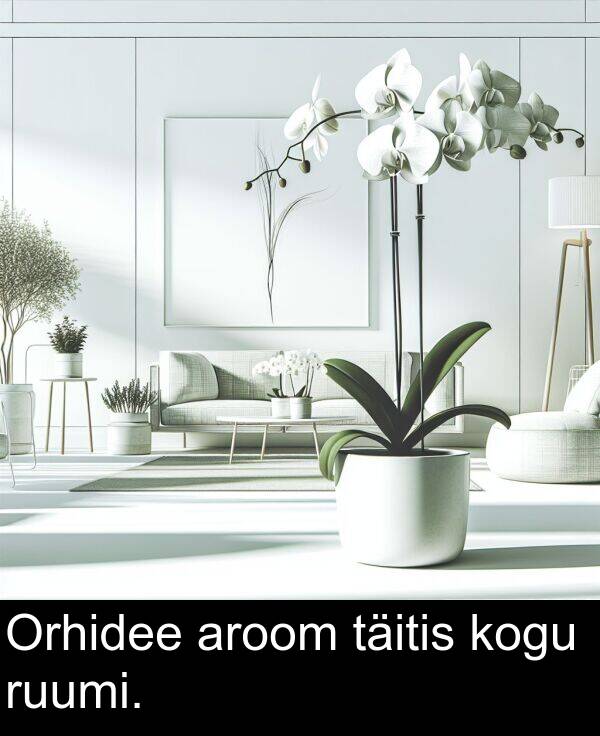 ruumi: Orhidee aroom täitis kogu ruumi.