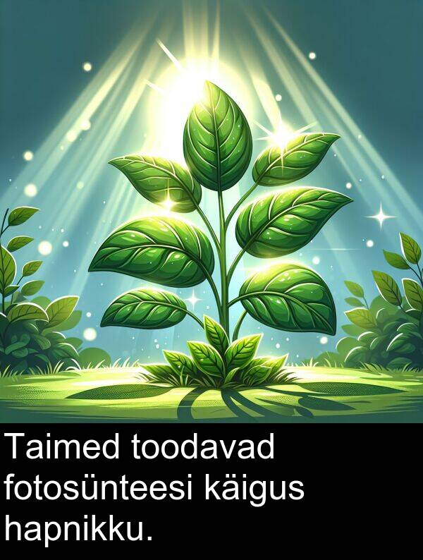 käigus: Taimed toodavad fotosünteesi käigus hapnikku.