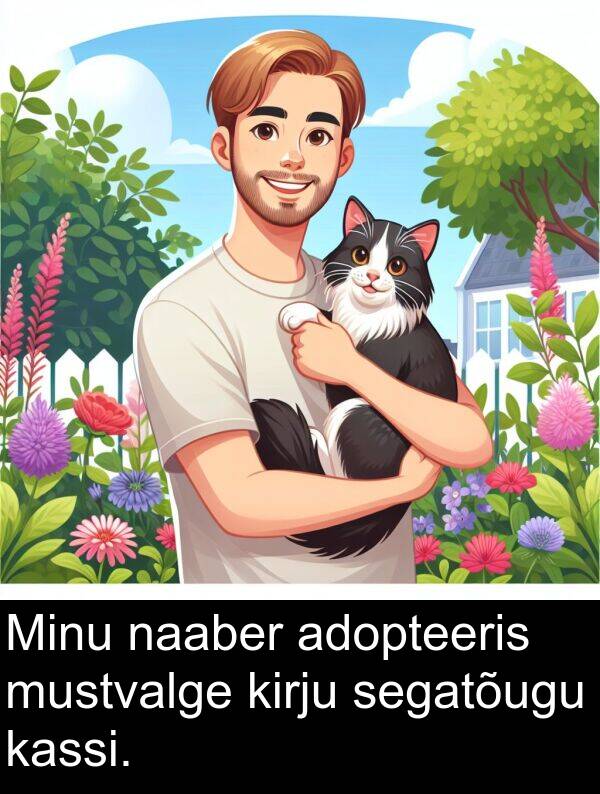 mustvalge: Minu naaber adopteeris mustvalge kirju segatõugu kassi.