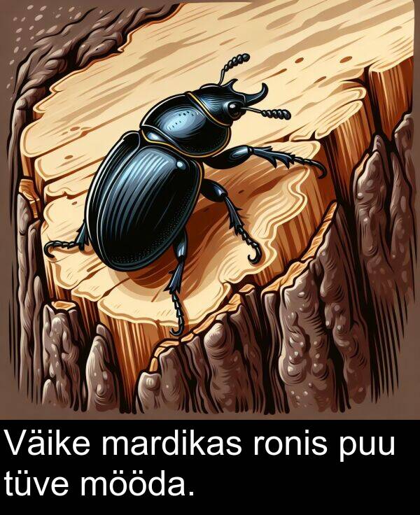 mööda: Väike mardikas ronis puu tüve mööda.