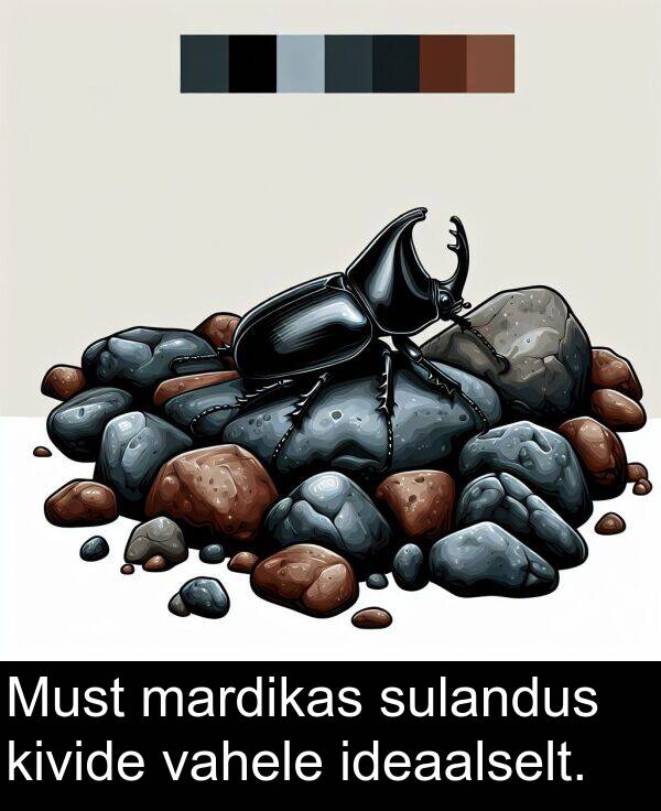 kivide: Must mardikas sulandus kivide vahele ideaalselt.