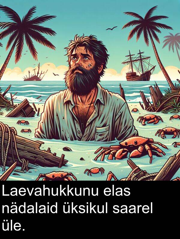 üksikul: Laevahukkunu elas nädalaid üksikul saarel üle.