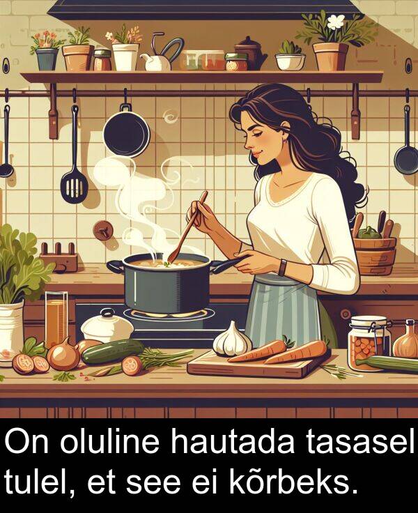 tulel: On oluline hautada tasasel tulel, et see ei kõrbeks.