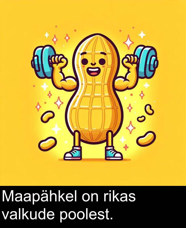 poolest: Maapähkel on rikas valkude poolest.