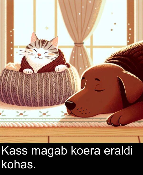 eraldi: Kass magab koera eraldi kohas.