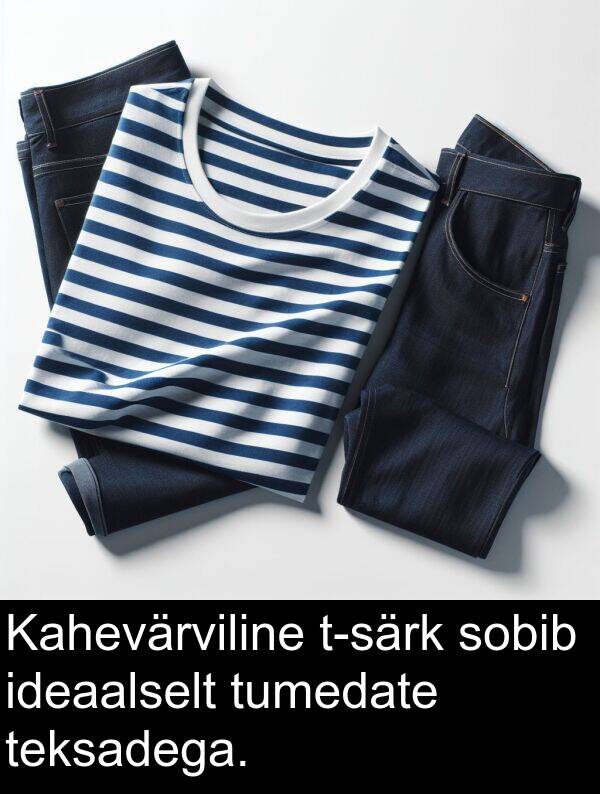 sobib: Kahevärviline t-särk sobib ideaalselt tumedate teksadega.