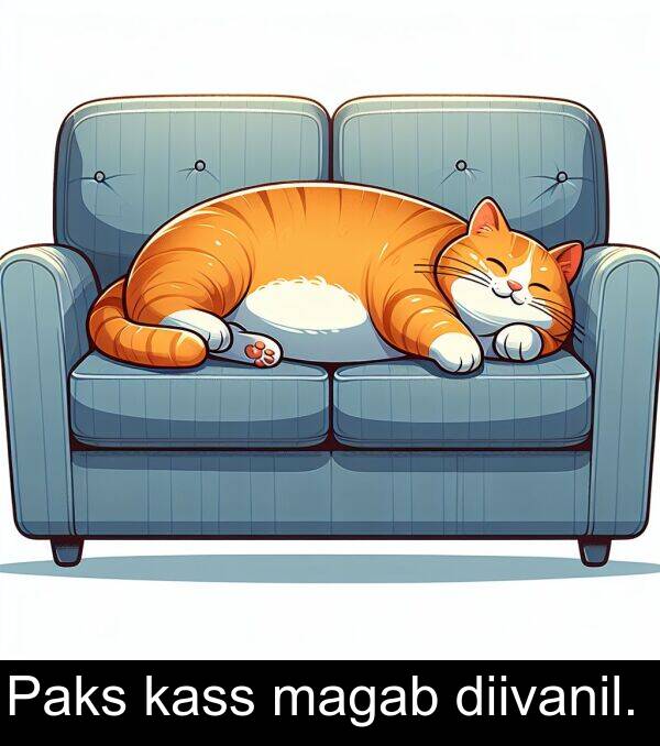 diivanil: Paks kass magab diivanil.