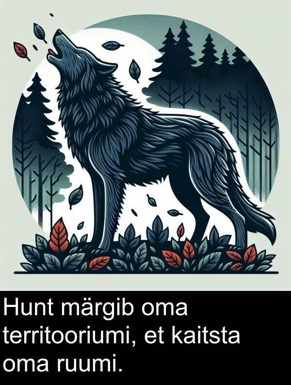 ruumi: Hunt märgib oma territooriumi, et kaitsta oma ruumi.