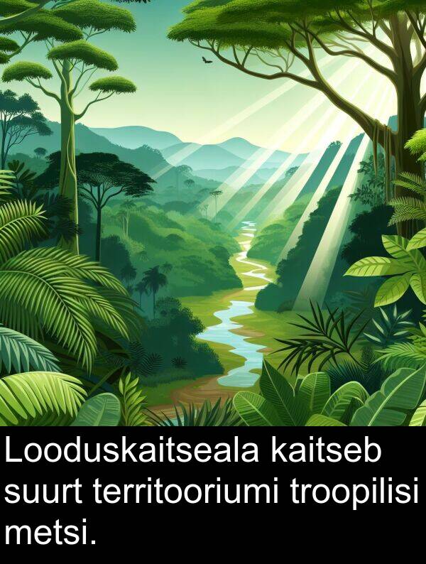 metsi: Looduskaitseala kaitseb suurt territooriumi troopilisi metsi.