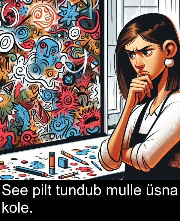 tundub: See pilt tundub mulle üsna kole.